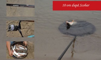 Pescuit la feeder la scobar